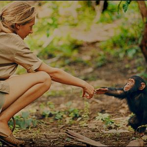 Foto Jane Goodall