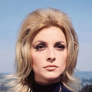 Foto Sharon Tate