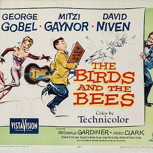 Foto O Otário e a Vigarista