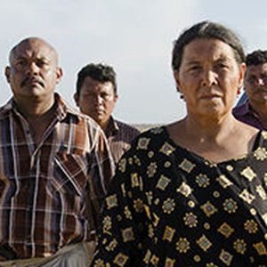 Foto Pássaros de Verão