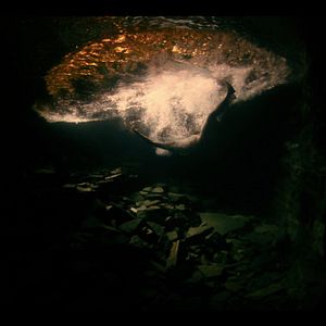 Foto Aquilo que Sobra