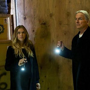 Foto Mark Harmon
