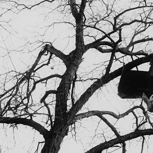 Foto O Despertar de Lilith