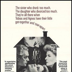 Foto Um Equilíbrio Delicado