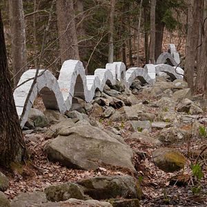 Foto Leaning Into the Wind: Andy Goldsworthy