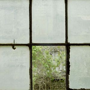 Foto Árvores Vermelhas