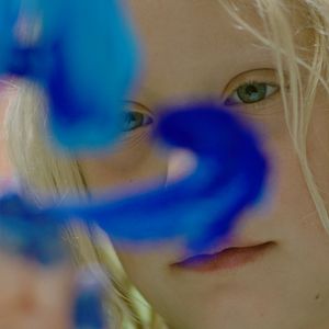 Foto Árvores Vermelhas