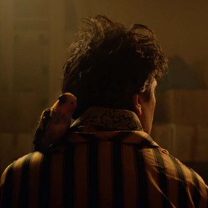 Foto Le Ciel étoilé au-dessus de ma tête