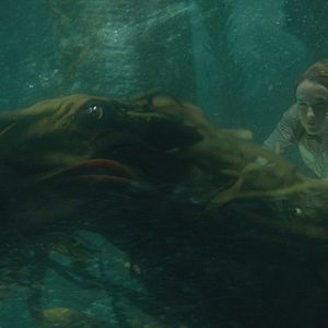 Foto Animais Fantásticos: Os Crimes de Grindelwald