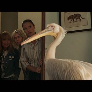 Foto Marie-Josée Croze