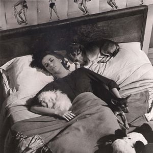 Foto O Preço de um Prazer