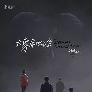 Foto Um Elefante Sentado Quieto