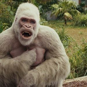 Foto Rampage - Destruição Total