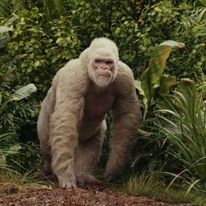 Foto Rampage - Destruição Total