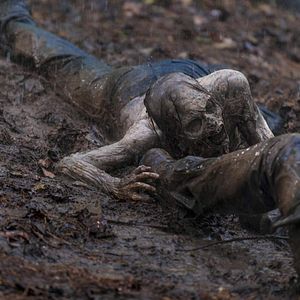 Foto The Walking Dead