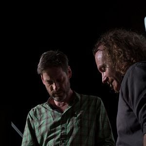 Foto Ilha dos Cachorros