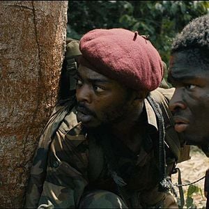 Foto The Mercy of the Jungle