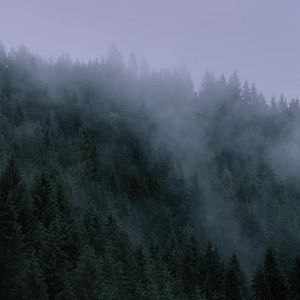 Foto A Maldição da Bruxa