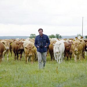 Foto Usedom - Der freie Blick aufs Meer