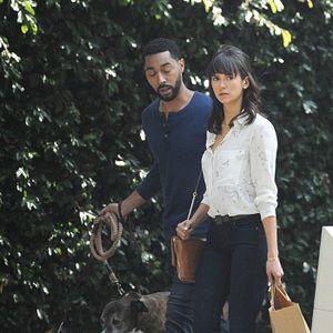 Foto Nossa Vida com Cães