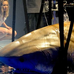 Foto Do Fundo do Mar 2