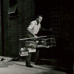 Foto O Homem de Alcatraz