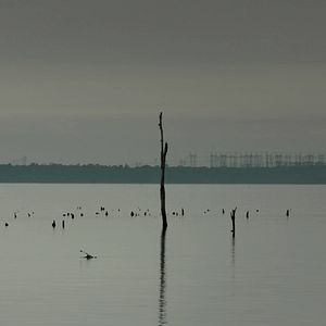 Foto Construindo Pontes