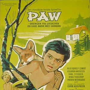 Foto Paw