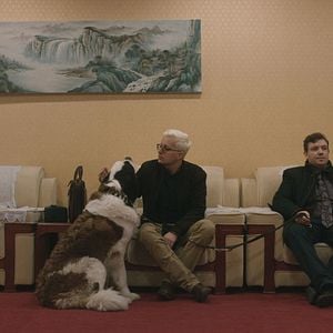 Foto Sankt Bernhard Syndikatet