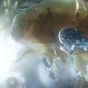 Foto Homem-Formiga e a Vespa