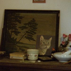 Foto De Um Ano Sem Eventos