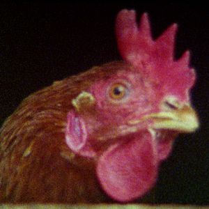 Foto De Um Ano Sem Eventos