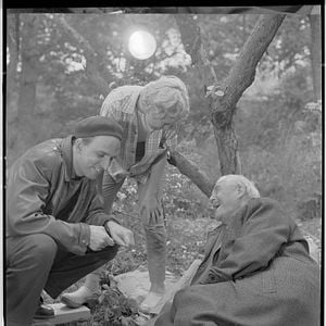 Foto Bergman - 100 Anos