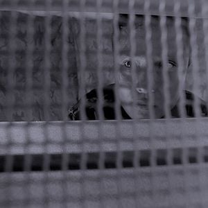 Foto Estação do Diabo