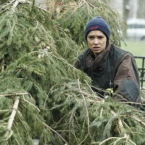 Foto Miranda Rae Mayo