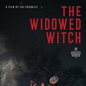 Foto A Feiticeira Viúva