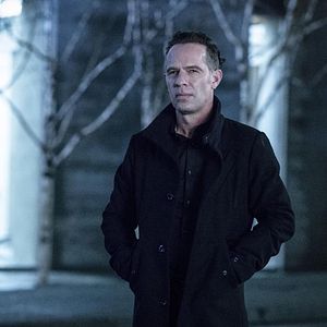 Foto Neil Sandilands