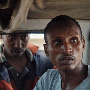 Foto When Lambs Become Lions