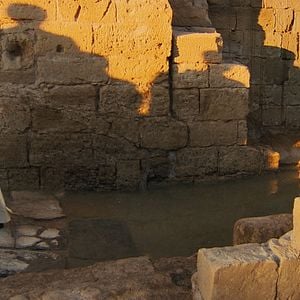 Foto Papa Francisco: Um Homem de Palavra