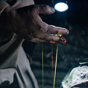 Foto Morra, Monstro, Morra