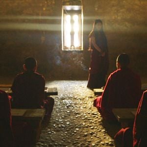 Foto Honeygiver Among the Dogs