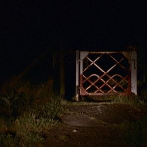 Foto Para Além de Nós