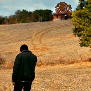 Foto A Árvore dos Frutos Selvagens