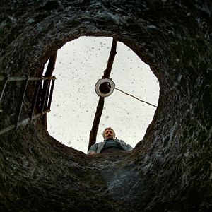 Foto A Árvore dos Frutos Selvagens