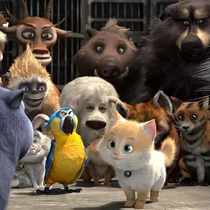 Foto Cats e a Gatolândia