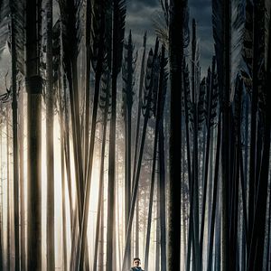 Foto Robin Hood - A Origem