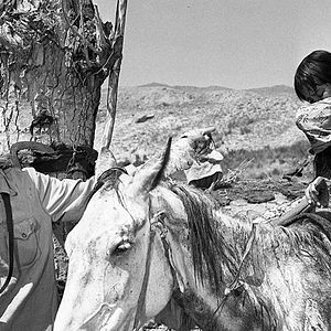 Foto Primeiro Professor