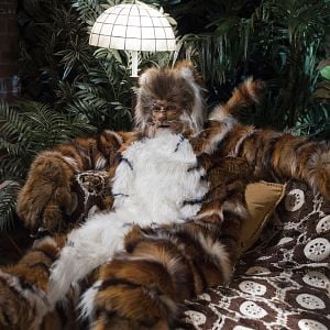 Foto Adam Rothenberg