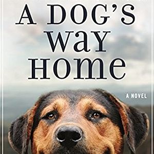 Foto A Caminho de Casa