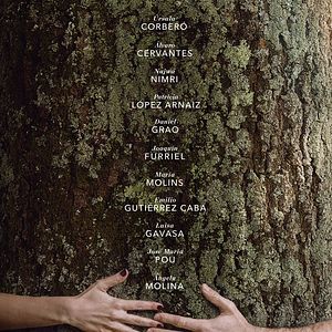 Foto Árvore de Sangue